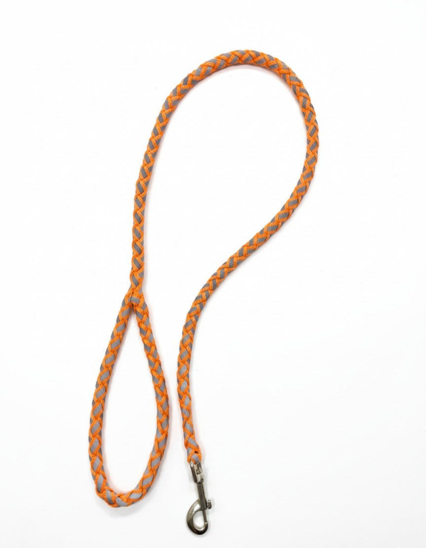 New Wavy Leash 10mm Imrported pets-park-pk