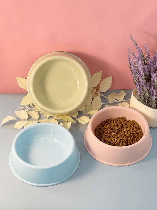 Non-Slip Colorful Imported Pet Food Bowl pets-park-pk