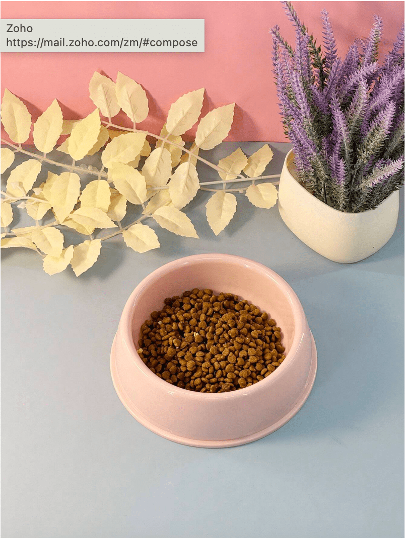 Non-Slip Colorful Imported Pet Food Bowl pets-park-pk