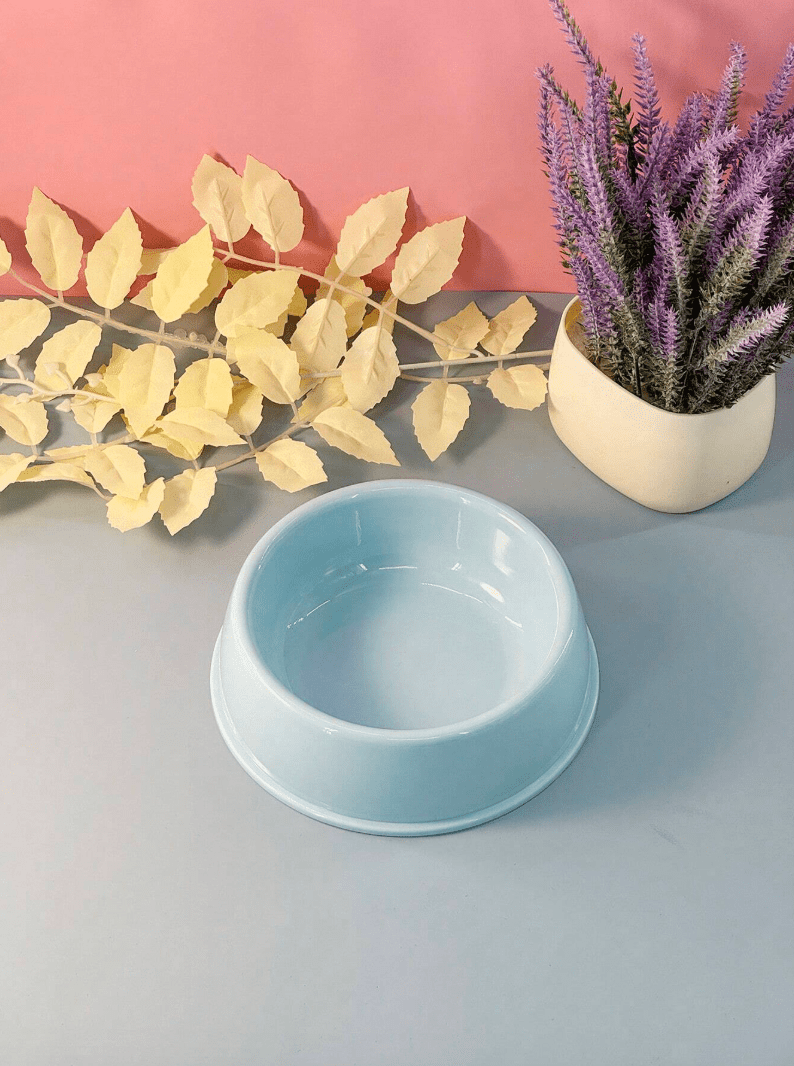 Non-Slip Colorful Imported Pet Food Bowl pets-park-pk