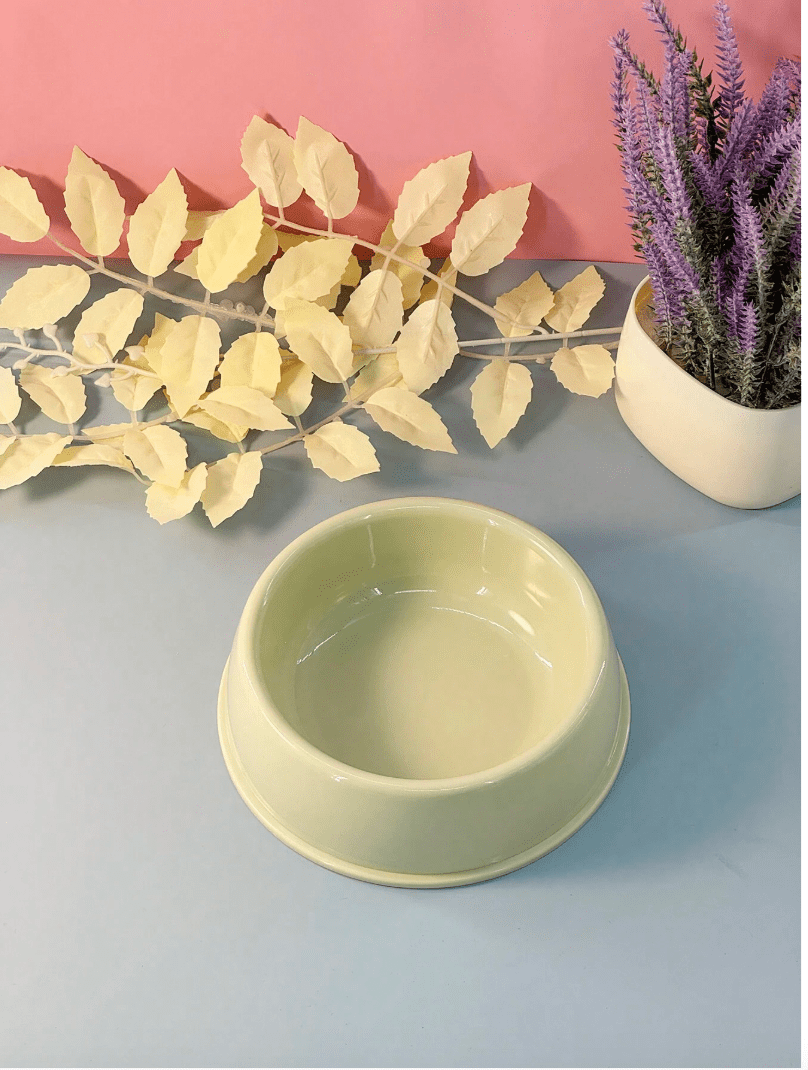 Non-Slip Colorful Imported Pet Food Bowl pets-park-pk