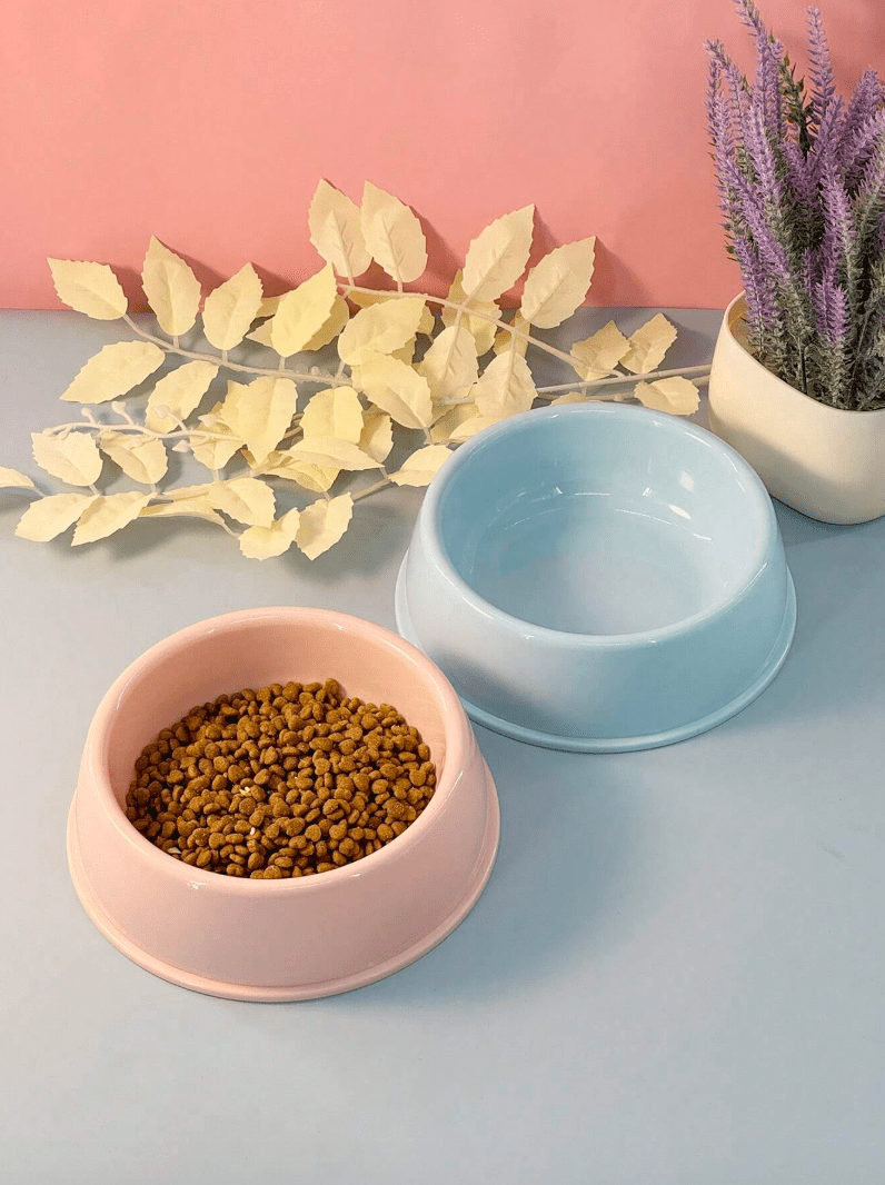 Non-Slip Colorful Imported Pet Food Bowl pets-park-pk