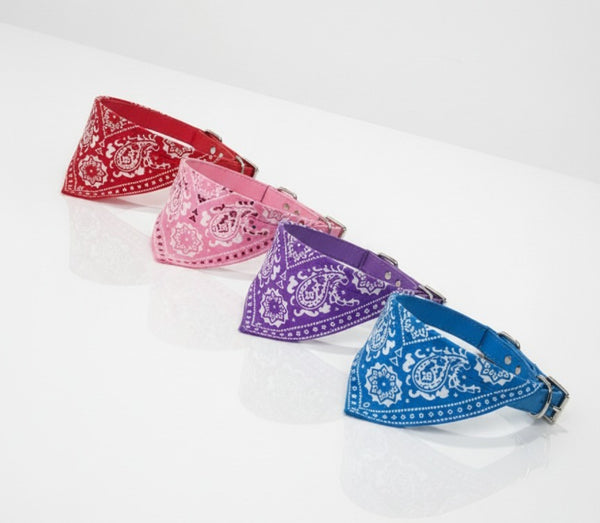 Pet Bandana collar pets-park-pk