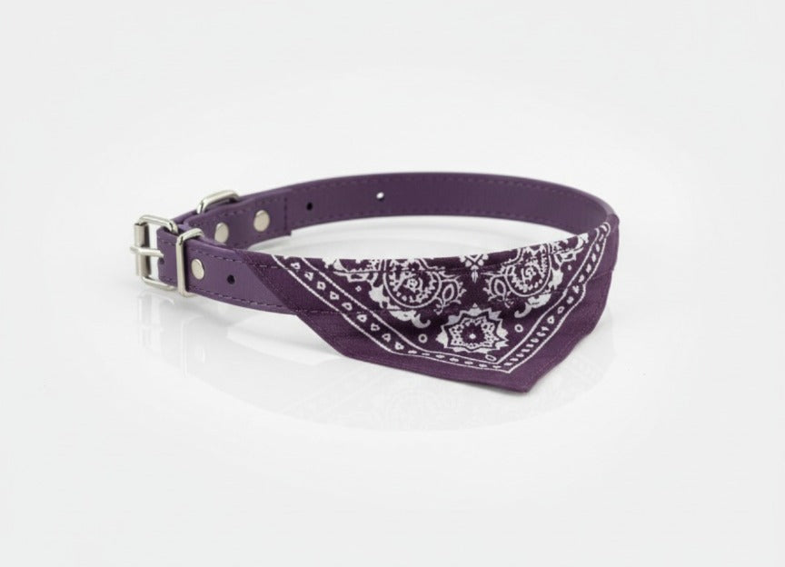 Pet Bandana collar pets-park-pk