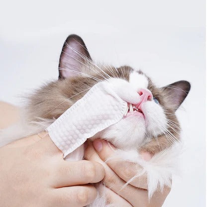 Pet Dental Cleaning Finger Wipes Pack of 3 pets-park-pk
