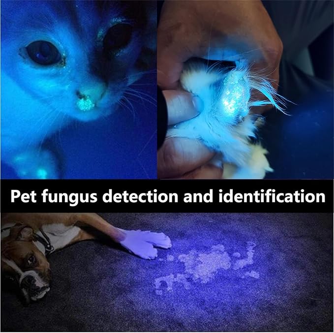 Pet UV Urine and Fungal Detector pets-park-pk