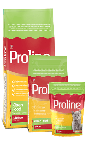 Buy Proline Cat Food in Pakistan in best price – PetsPark.pk