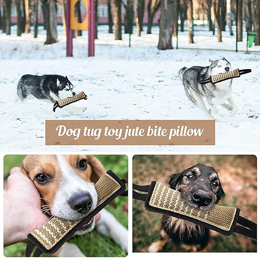 PuppyDog Tug for Strong Teeth and Training pets-park-pk