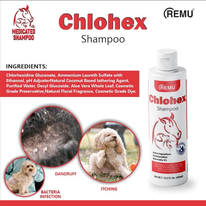 Buy Remu Chlohex Medicated Shampoo for Cats and Dogs in Pakistan