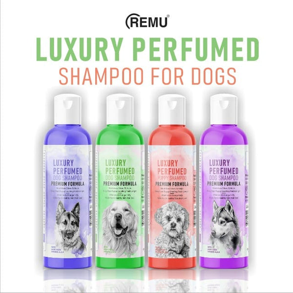 Remu Luxury Perfumed Dog Shampoo pets-park-pk