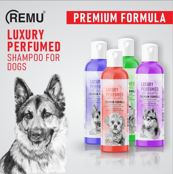 Remu Luxury Perfumed Puppy Shampoo pets-park-pk