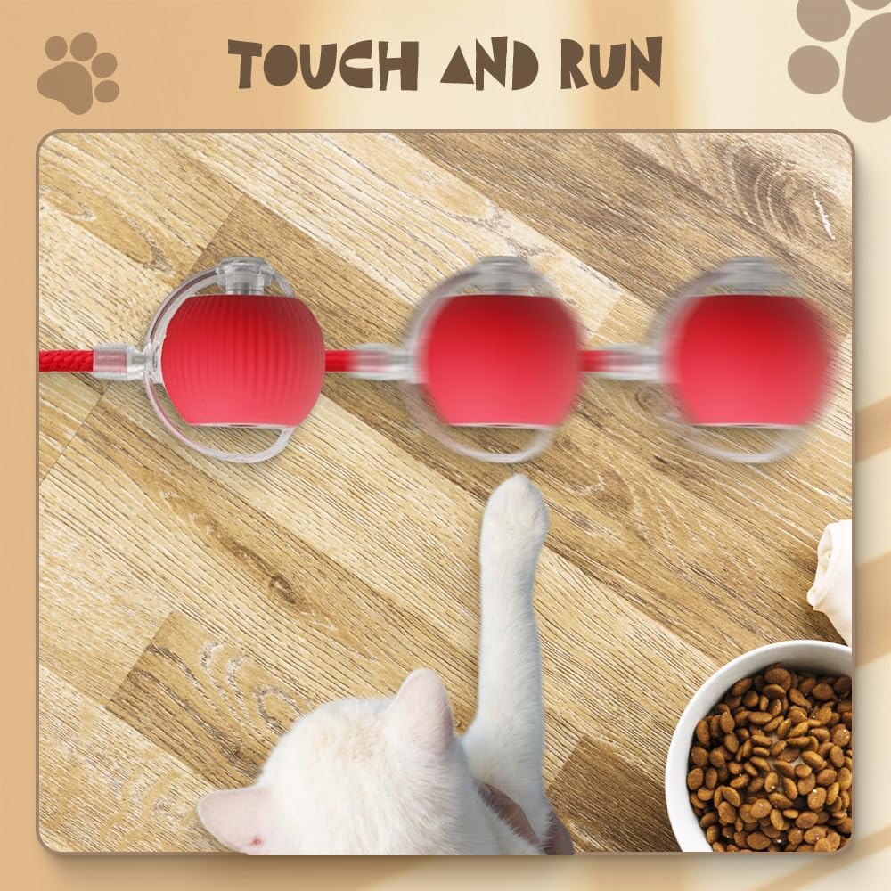 Rolling Smart Electric Pet Ball for Cats and Dogs pets-park-pk