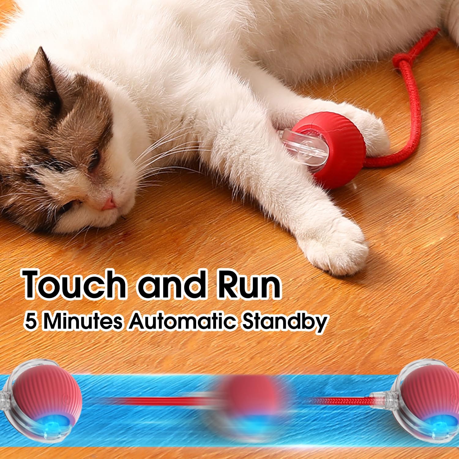 Rolling Smart Electric Pet Ball for Cats and Dogs pets-park-pk
