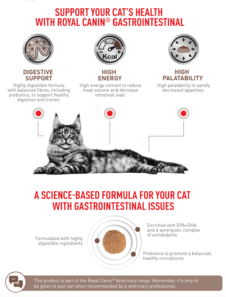 Royal Canin Gastro Adult 2Kg pets-park-pk