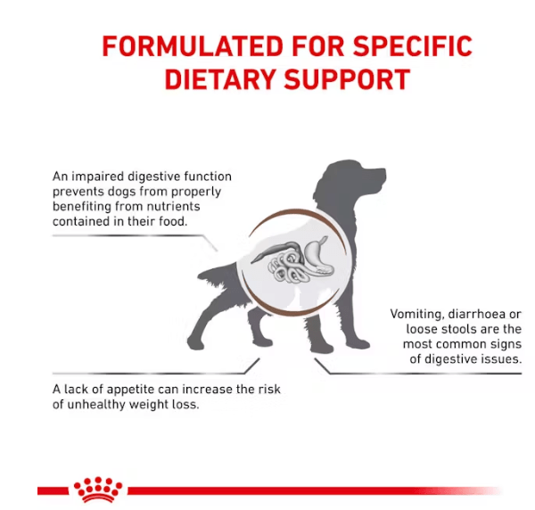 Royal Canin Gastro Adult 2Kg pets-park-pk
