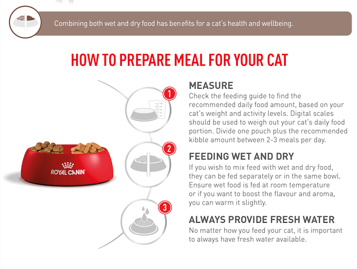 Royal Canin Gastro Adult 2Kg pets-park-pk