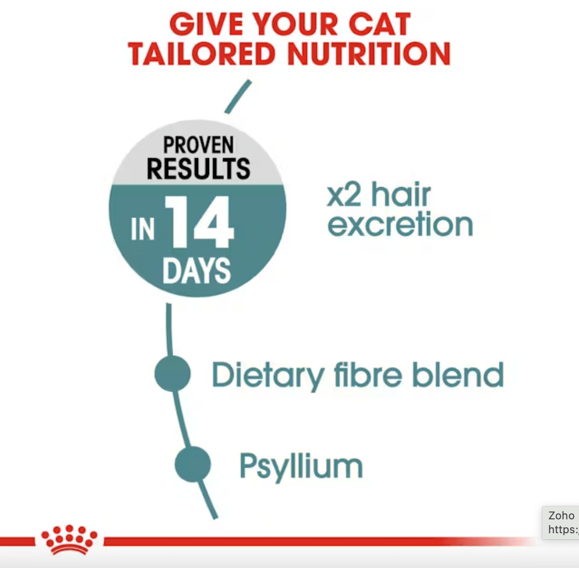 Royal Canin Hairball Care pets-park-pk