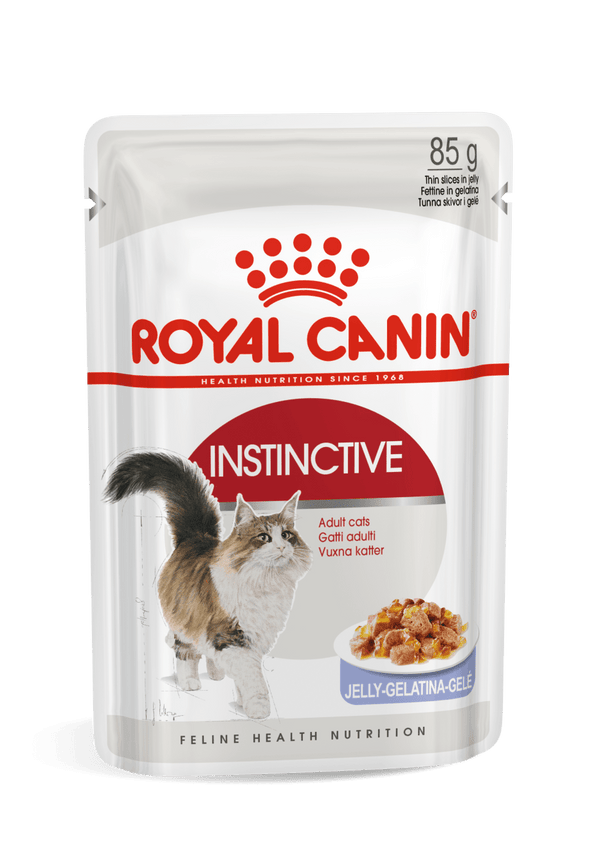 Royal Canin Jelly Cat Adult * 1 pets-park-pk