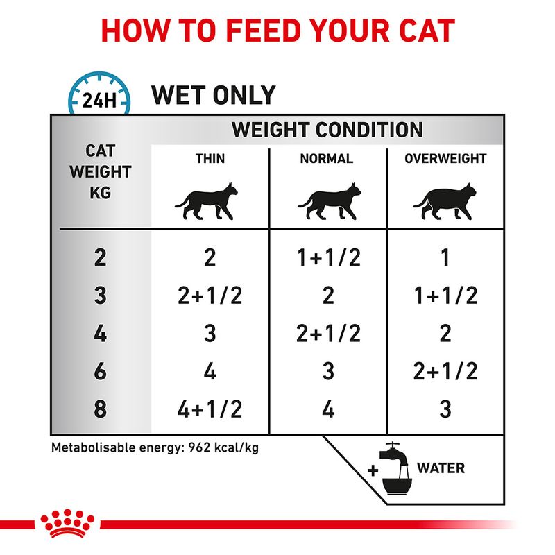 Royal Canin Jelly Gastro Intestinal Sensitive * 1 - 85Grams pets-park-pk