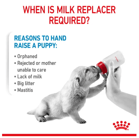 Royal Canin Puppy Milk Replacer 2Kg pets-park-pk