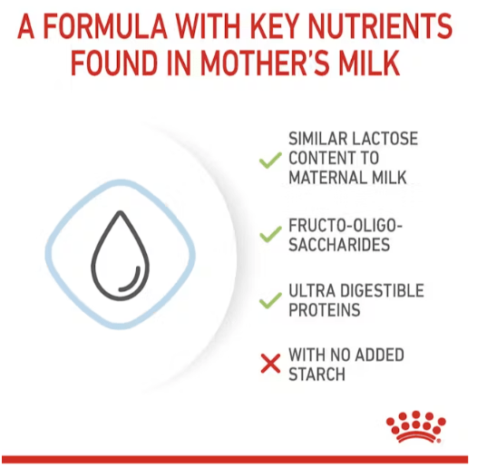 Royal Canin Puppy Milk Replacer 2Kg pets-park-pk
