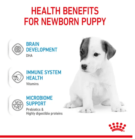 Royal Canin Puppy Milk Replacer 2Kg pets-park-pk