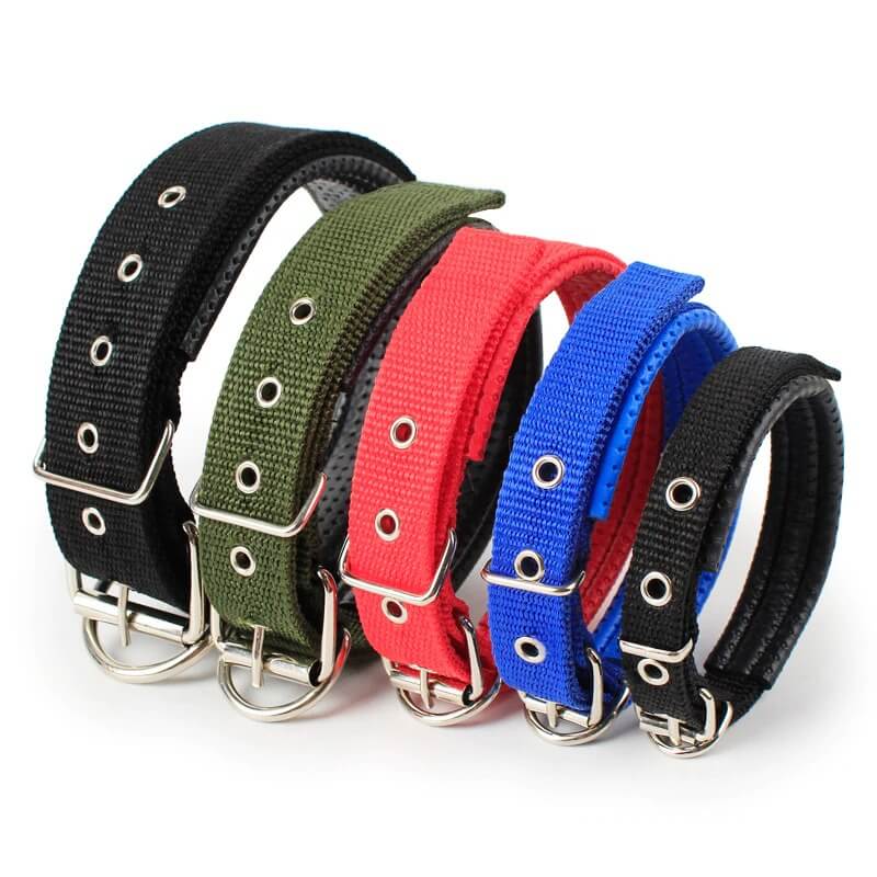 Soft Nylon Dog Collar For Puppies & Dogs pets-park-pk