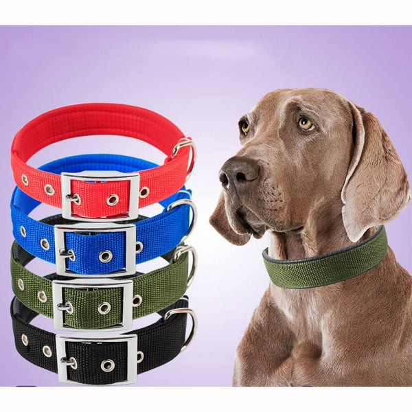 Soft Nylon Dog Collar For Puppies & Dogs pets-park-pk