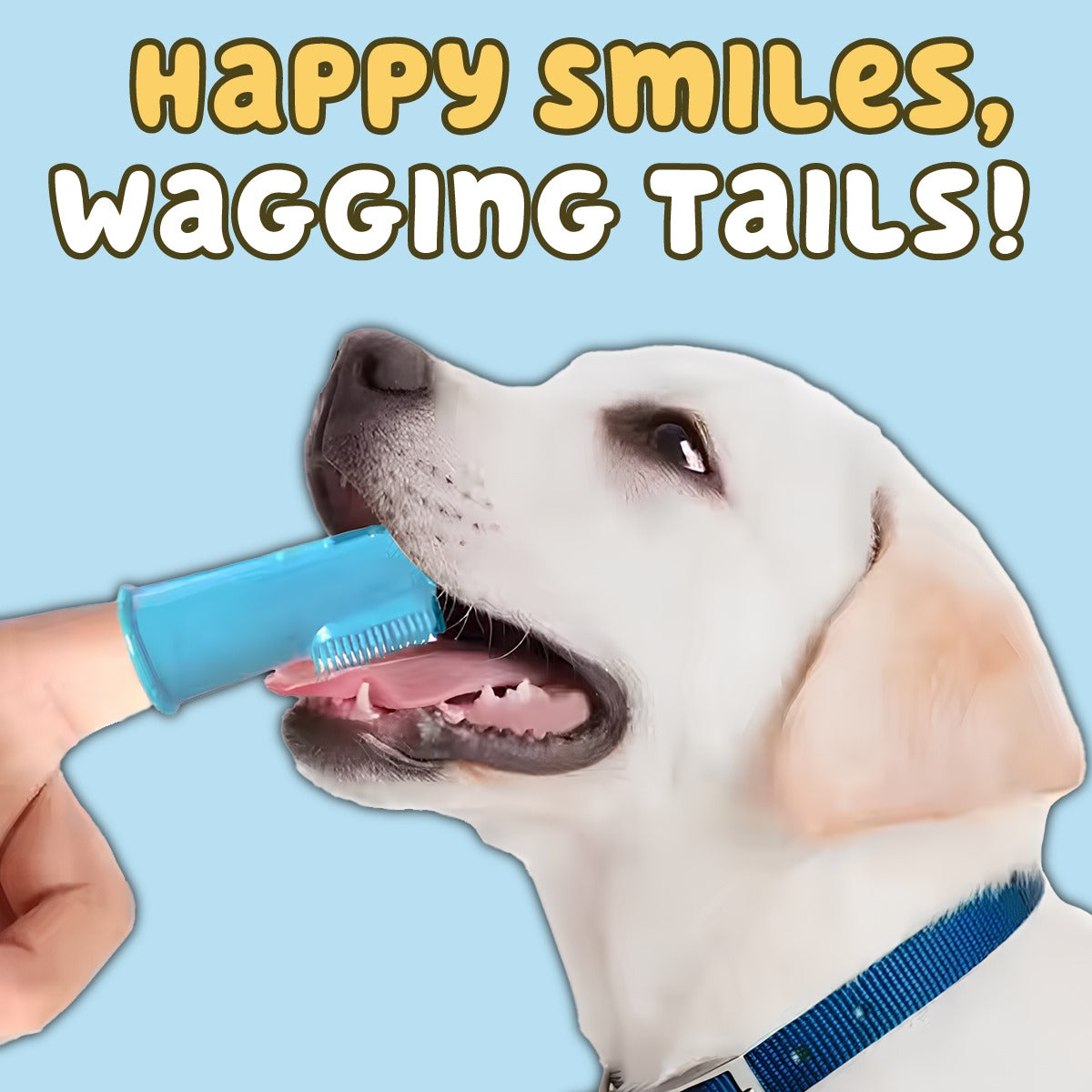 Soft Silicone Finger Toothbrush for Cats & Dogs pets-park-pk