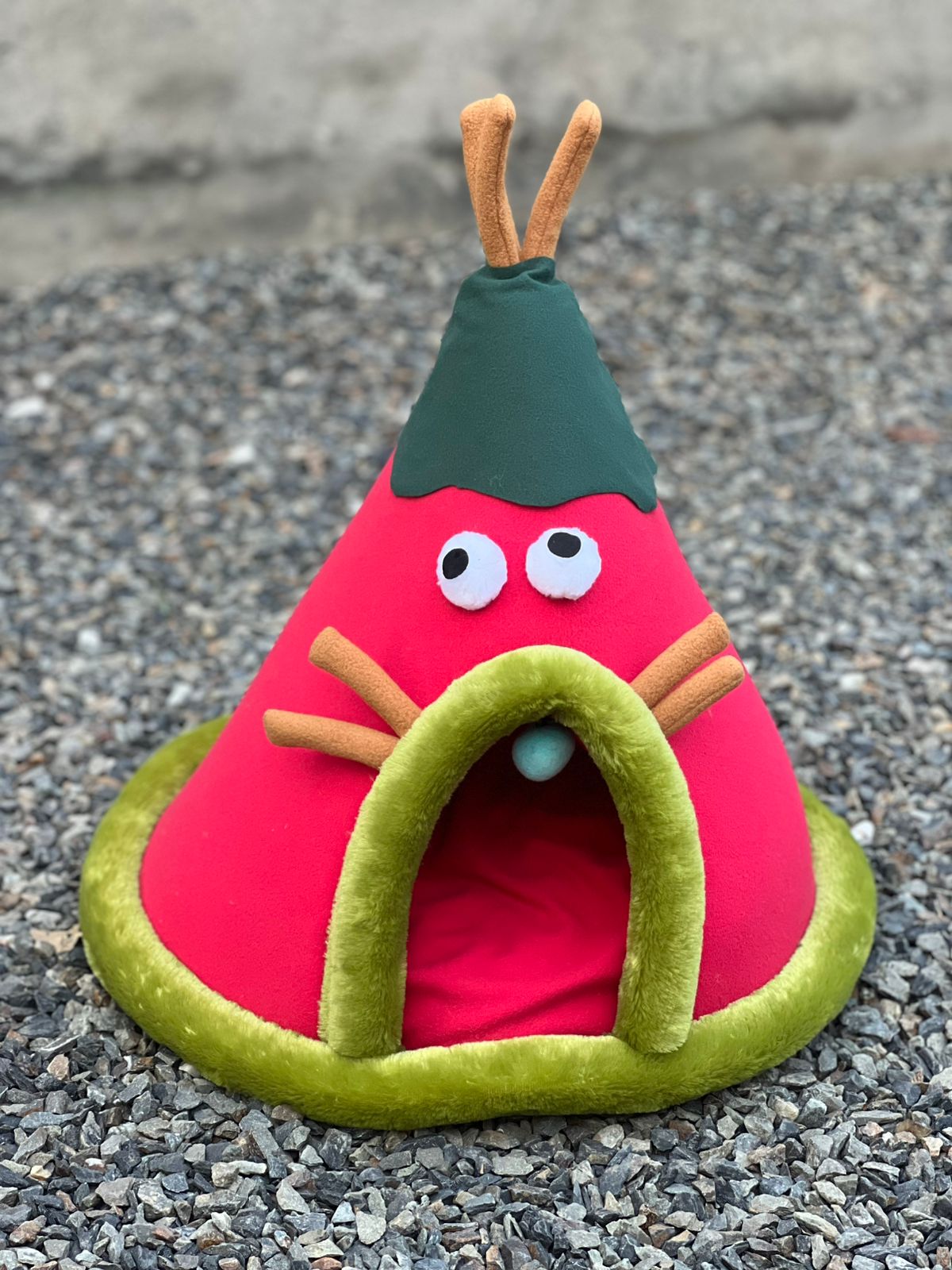 Tail Squad Colorful Pet Tent House pets-park-pk