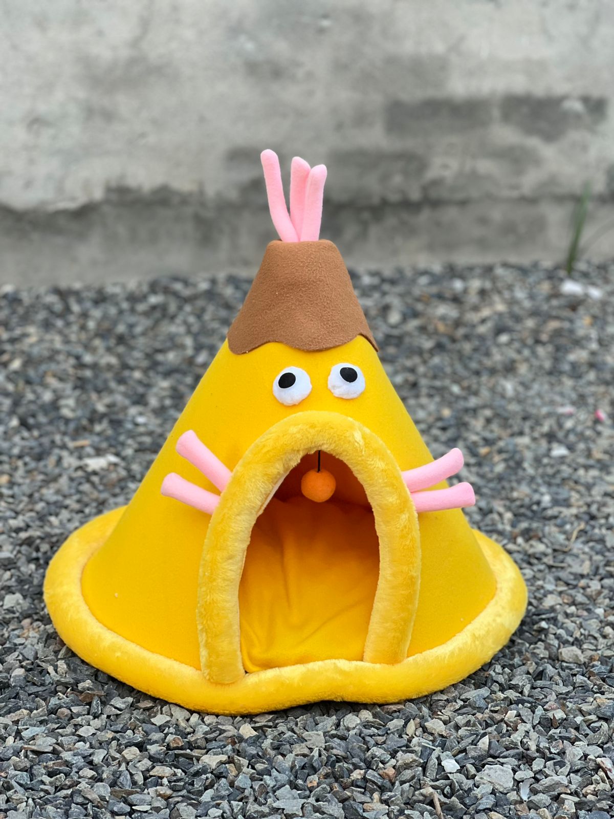 Tail Squad Colorful Pet Tent House pets-park-pk