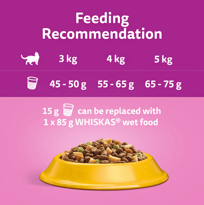 WHISKAS® 1+ Dry Cat Food Chicken 300grams pets-park-pk