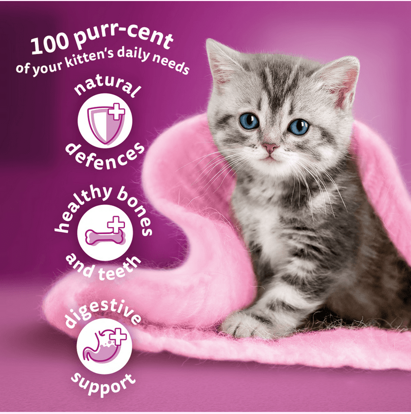 WHISKAS® Kitten 2-12 Months Dry Kitten Food Chicken pets-park-pk