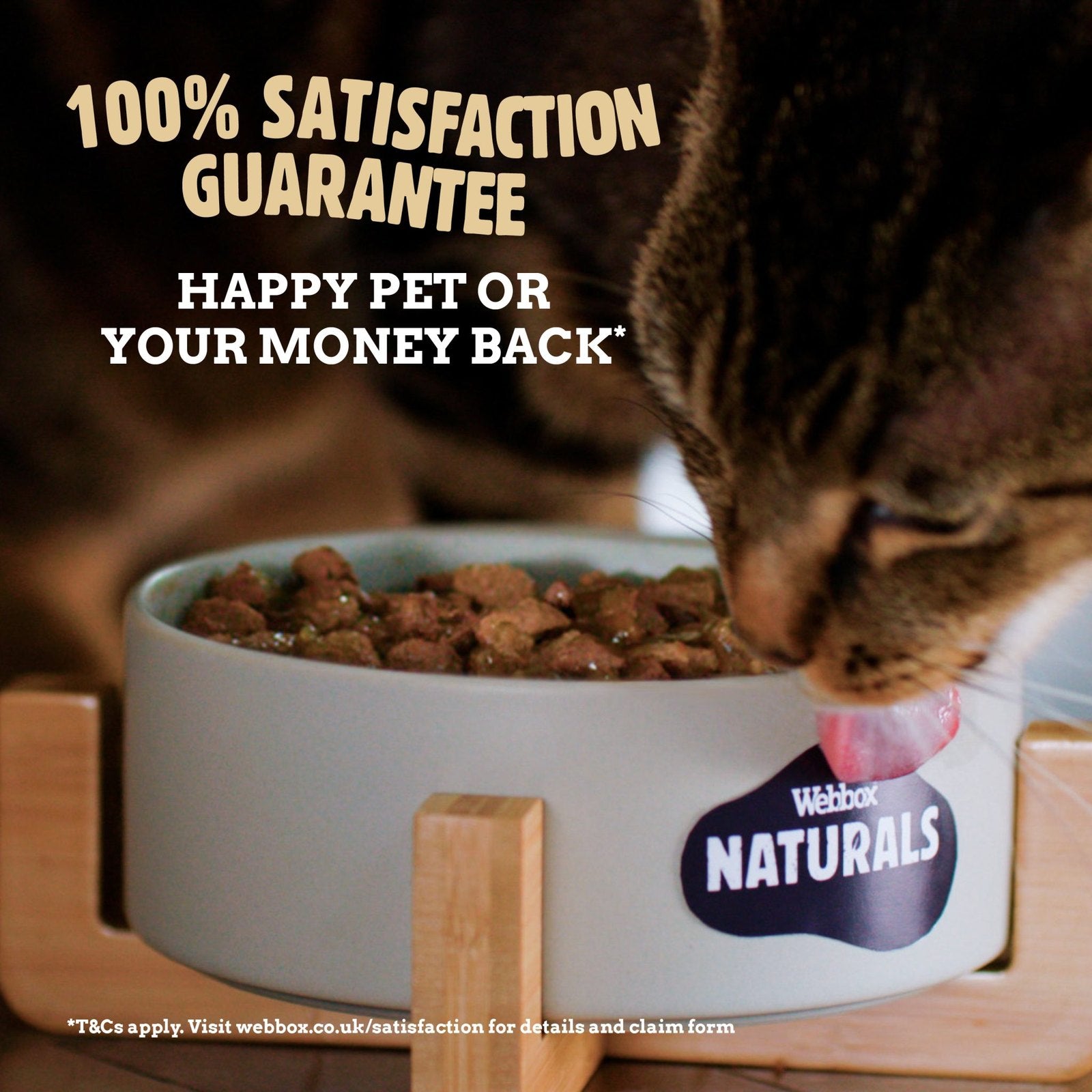Webbox Naturals Jelly Wet Cat Food 100Grams pets-park-pk