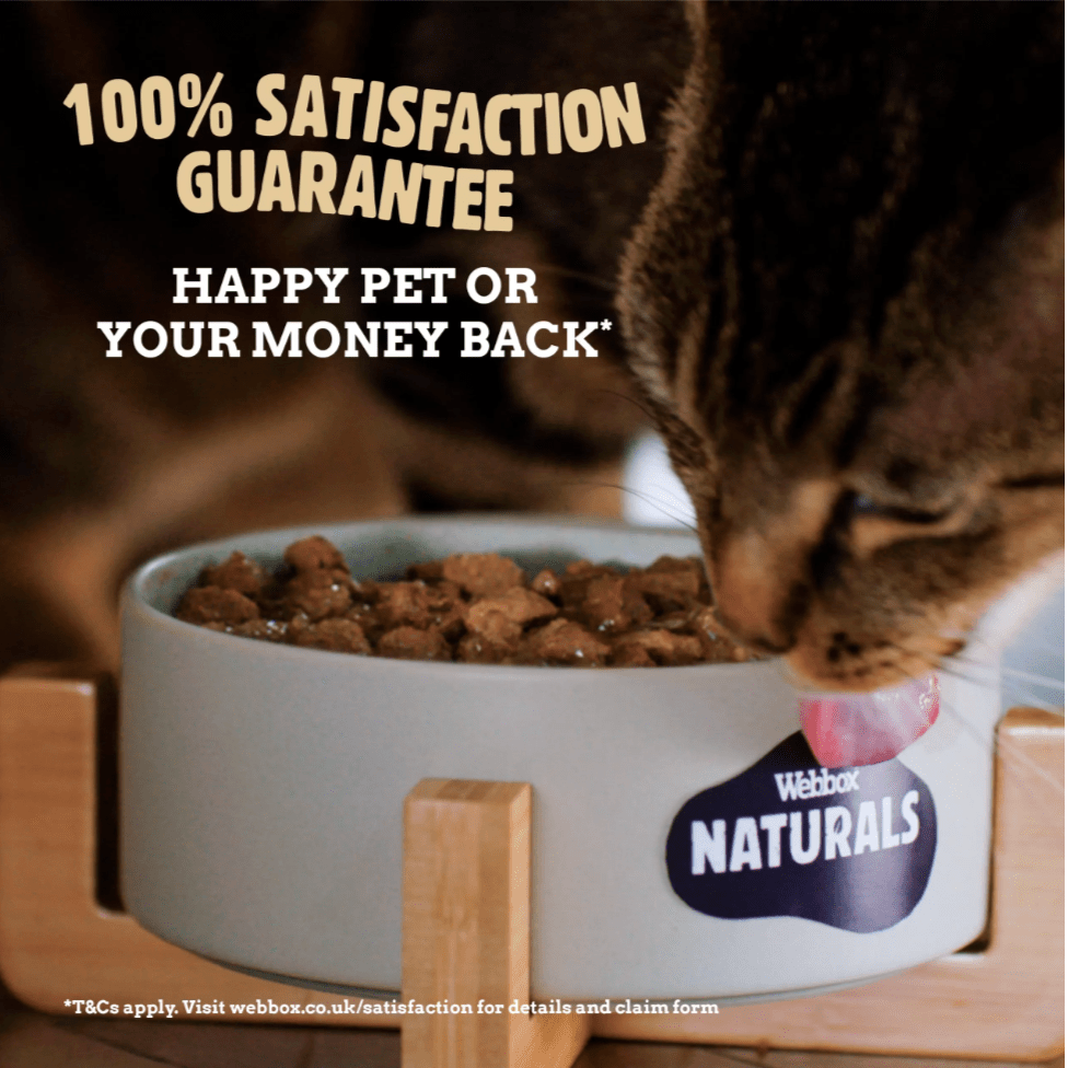 Webbox Naturals Jelly Wet Kitten Food 100Grams pets-park-pk