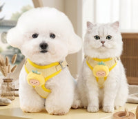 Cat Harness
