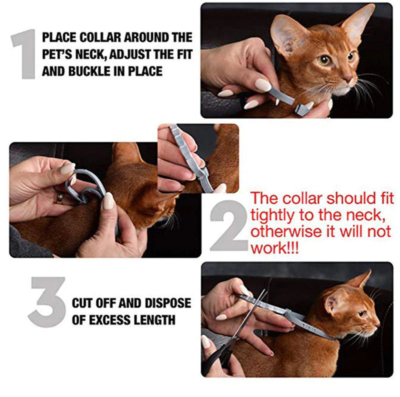 Flea Tick Collar Ideal for Outdoor Cats & Dogs pets-park-pk