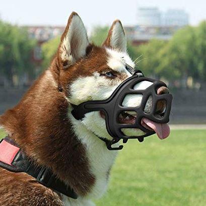 Rubber Muzzle pets-park-pk