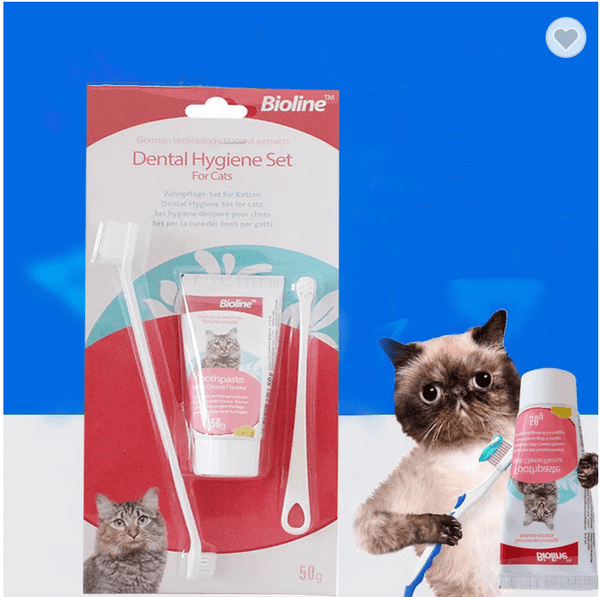 Bioline Dental Care Set for cats pets-park-pk