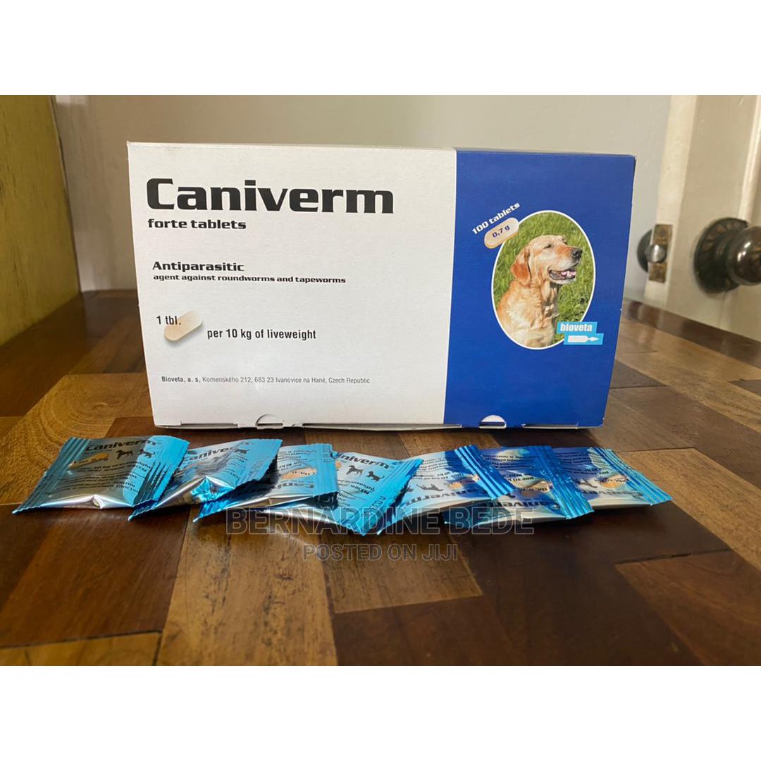 Caniverm Deworming Tablets for Cats & dogs 01 Tablet pets-park-pk