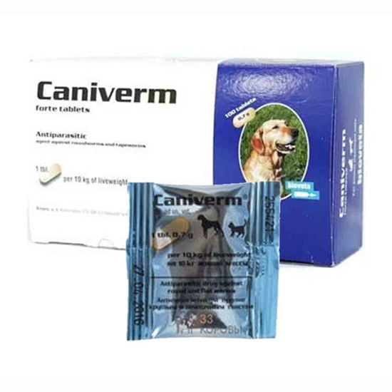 Caniverm Deworming Tablets for Cats & dogs 01 Tablet pets-park-pk