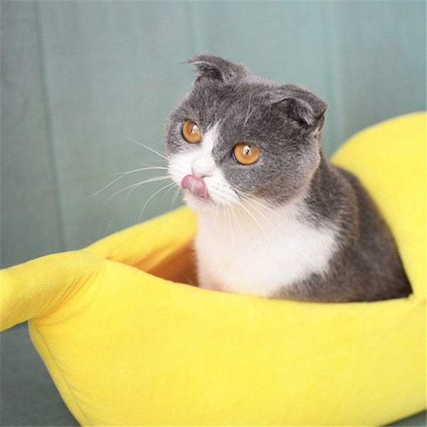 Cat Banana Bed and House pets-park-pk