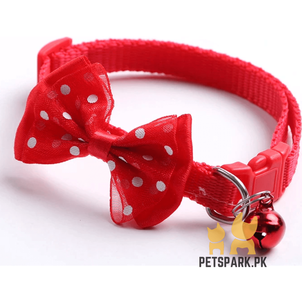 Cat Bow Collars pets-park-pk