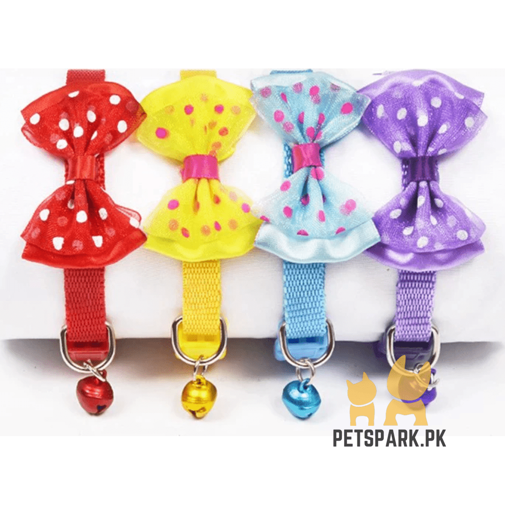 Cat Bow Collars pets-park-pk