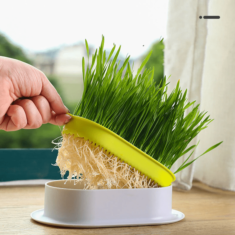 Cabilock Practical Cat Plant Convenient Planting Box Household Cat Grass Box Nursery Cat Plant pets-park-pk