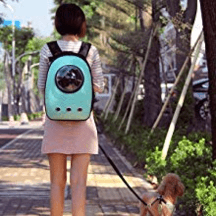 Cat Travel Backpack Colorful pets-park-pk