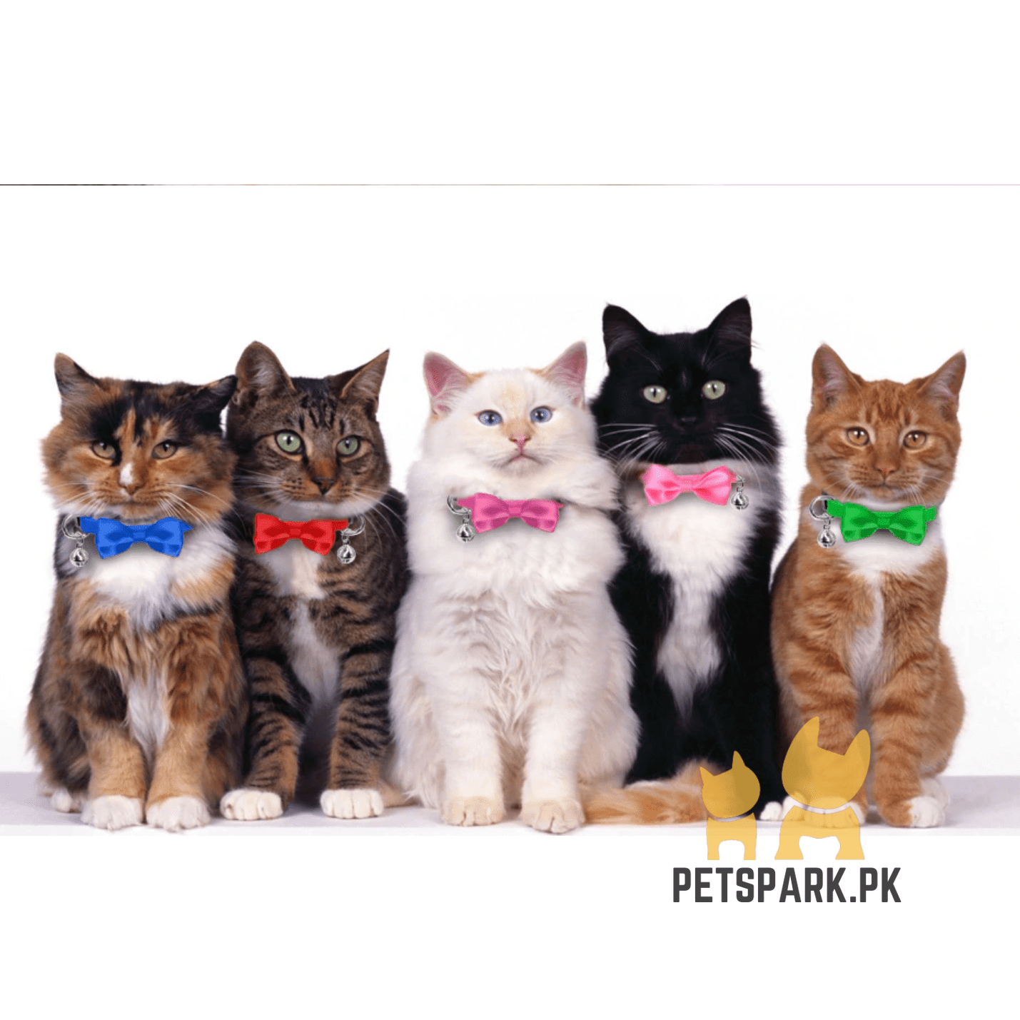 Cat Bow Collars pets-park-pk
