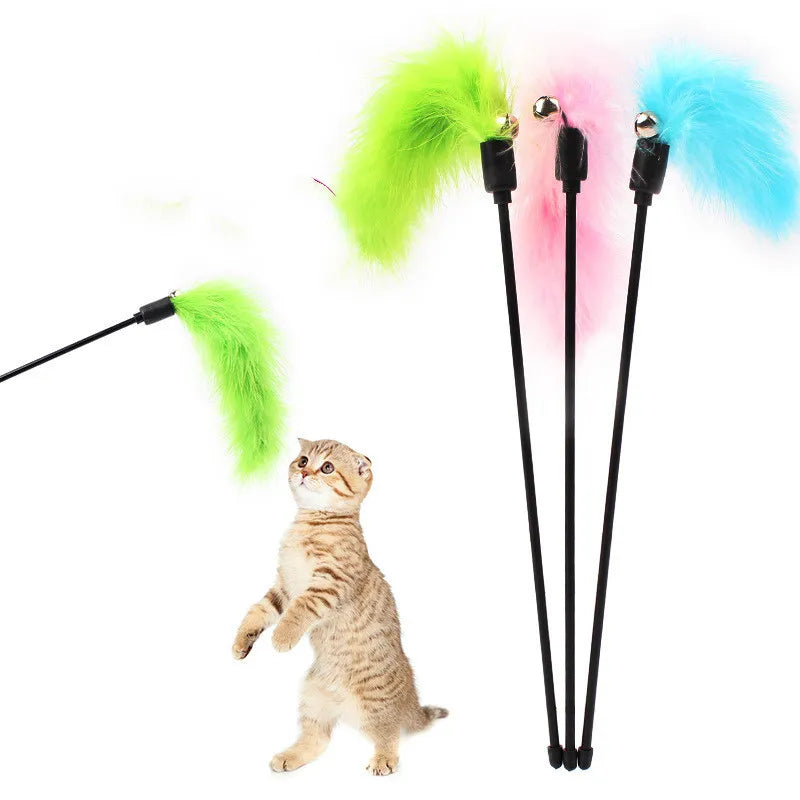 Cat Colourful Playing Stick pets-park-pk
