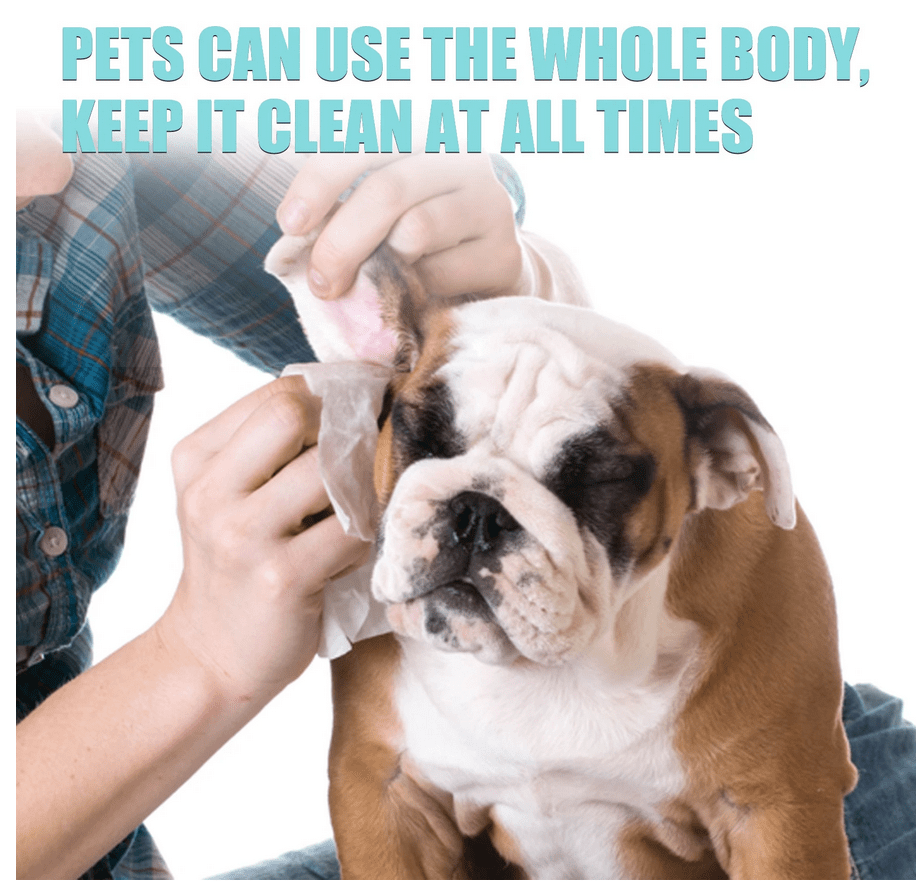 Cat/Dog Cleaning Wipes 100 Pieces pets-park-pk