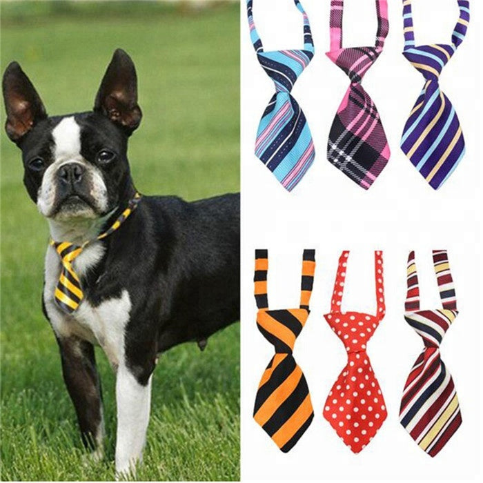 Cat/Dog Gentleman Tie pets-park-pk